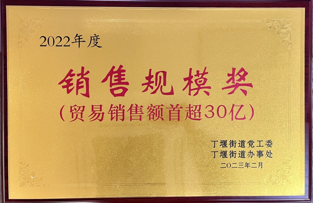 2022銷(xiāo)售規(guī)模獎(jiǎng).jpg